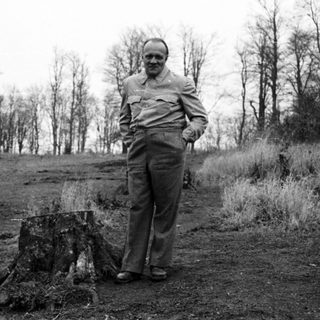 Man stands near a tree stump in a wooded area.