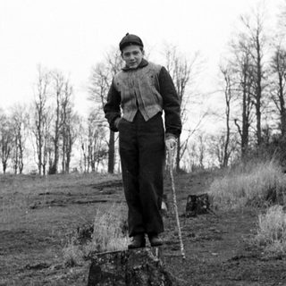 Boy standing on a tree stump in a wooded area.