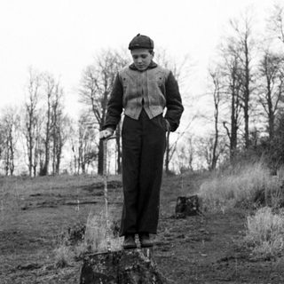 Boy stands atop a tree stump in a wooded area.