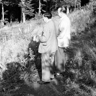 Two men in suits standing on a wooded hillside.