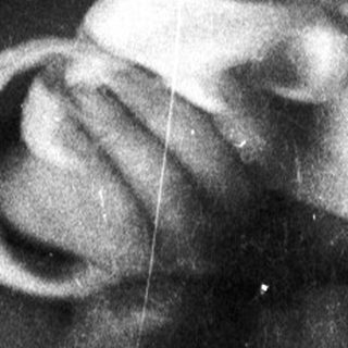 Black and white photo of a baby in a blanket.