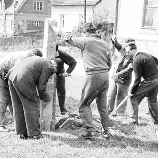 Men appear to be constructing a fence in a yard.