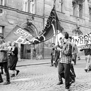 Here's a brief summary of the image: Protesters march with signs on a cobblestone street.