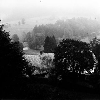 Mist-covered landscape with trees, rooftops, and a distant view.