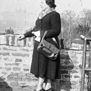 Woman stands on a wall overlooking a landscape.