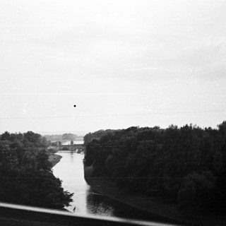 Black and white image of a river through dense trees.