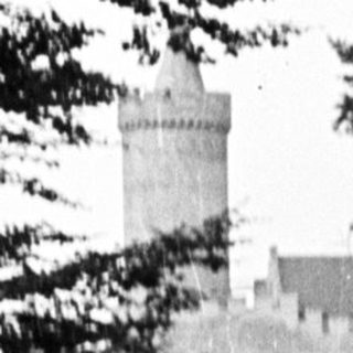 Forest view with a castle visible in the distance.