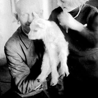Man and child holding a lamb indoors.