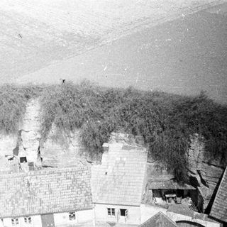 Black and white aerial view of rooftops and dense foliage.