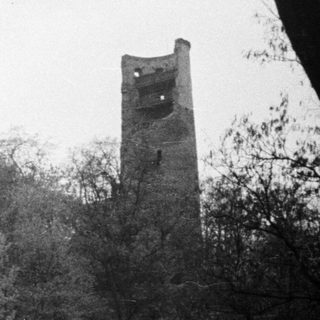 Ruined castle remains atop a wooded hill, monochrome.