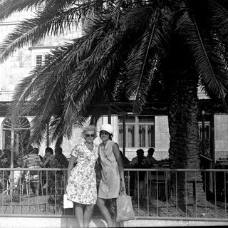 Two women stand near a palm tree, outdoors.