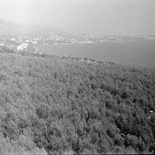 Aerial view of forest, town, and a body of water.