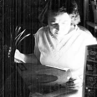 Here's a brief summary of the image: Man reading a book while seated near a plant.