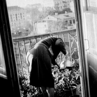 Person tending plants on a balcony, viewed through a window.