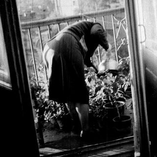 Person tending plants on a balcony, viewed through a window.