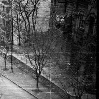 People walking along a street with bare trees.