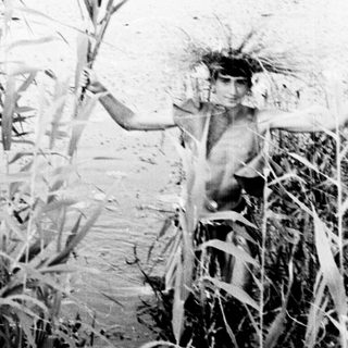 Person wading through tall reeds in a body of water.