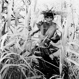 Person wading through tall grass near a body of water.