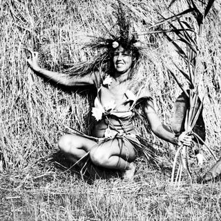 Here's a brief summary of the image: Person in foliage-inspired attire sits near a hay bale.