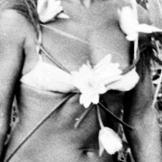 Here's a brief summary of the image: Woman adorned with foliage stands in tall grass by water.