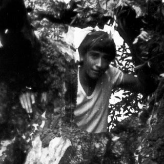 Boy partially obscured behind a large, textured tree.
