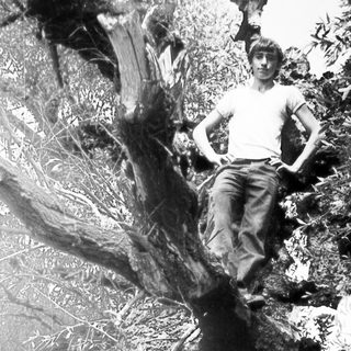 Person sits atop a large, textured tree in a field.