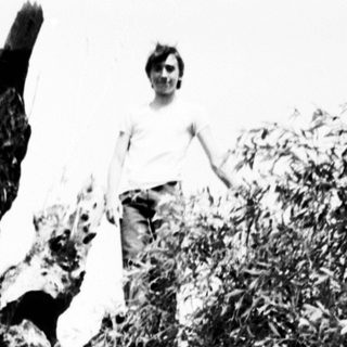 A person climbs a large, gnarled tree in a field.