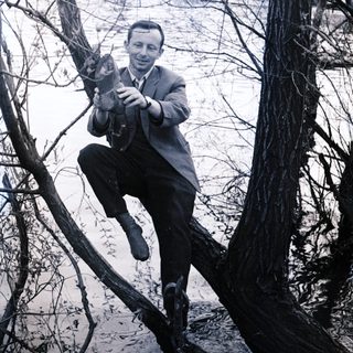 Man in suit perches on a tree branch over water.
