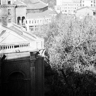 Black and white image of a cityscape with buildings and trees.