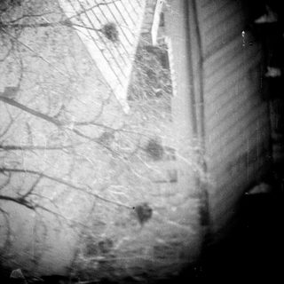 Here's a brief summary of the image: Rooftop and bare trees visible in dark, grainy scene.