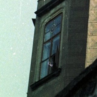 Cat perches on a building's edge, overlooking a stone wall.