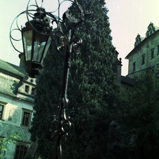 Ornate lamppost stands before a tree and building.