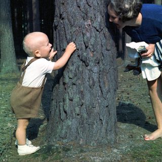 Baby and adult examine a tree in a forest.