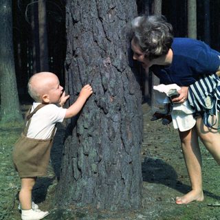 Baby and adult examine a tree in a forest.