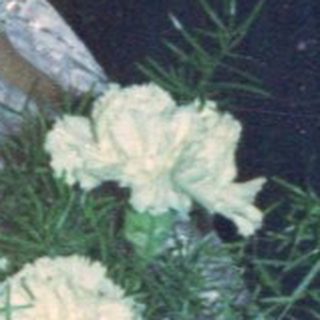 Couple with guests at a formal event, likely a wedding.