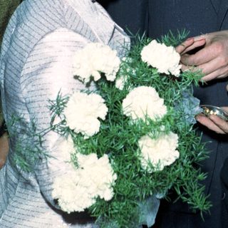 Prince Charles receives flowers from a woman during a gathering.