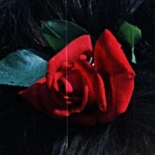 Portrait of a young woman with a red flower in her hair.