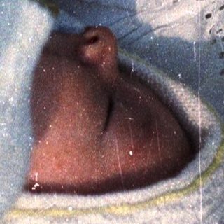 Baby sleeps peacefully in a lace-trimmed cradle.