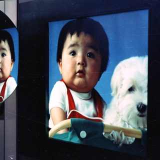 Baby and a white dog are in a portrait.