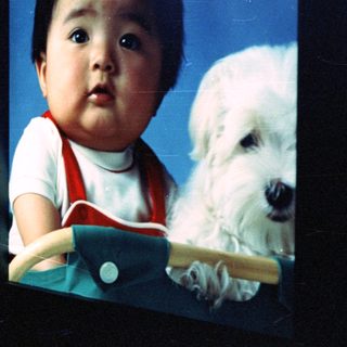 Baby and a white dog are in a portrait.