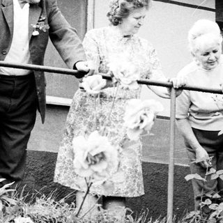 Three elderly people carefully navigate a garden path.
