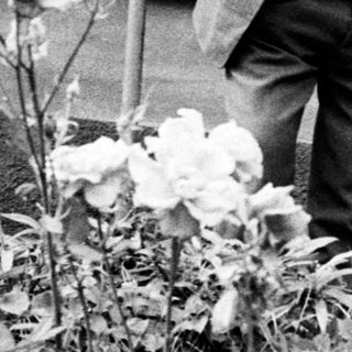 Three elderly people carefully navigate a garden path.