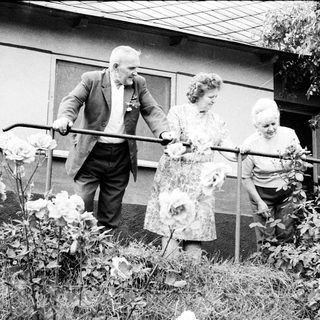 Three elderly people carefully navigate a garden path.
