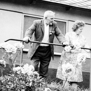 Three elderly people carefully navigate a garden path.