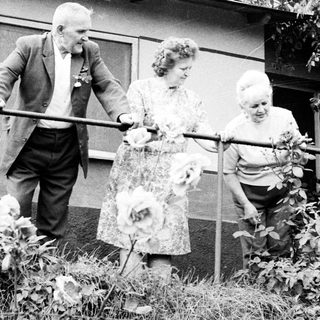 Three elderly people carefully navigate a garden path.