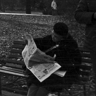 Man reads newspaper on bench in a park.