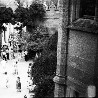 Group of people walking along a path, trees visible.