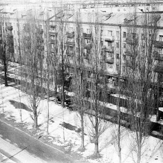 Winter cityscape with bare trees and apartment buildings.