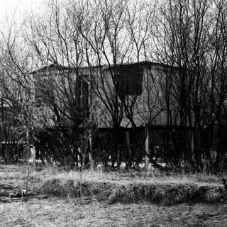 Abandoned, overgrown house stands within a field of tall grass.