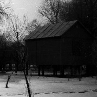 Elevated houses in a snowy, wooded landscape.
